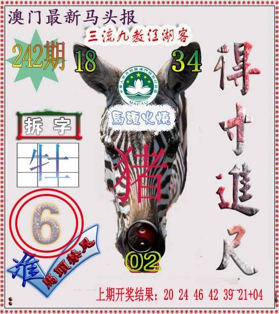 2024242期马头报