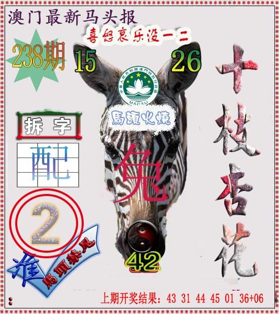 2024238期马头报