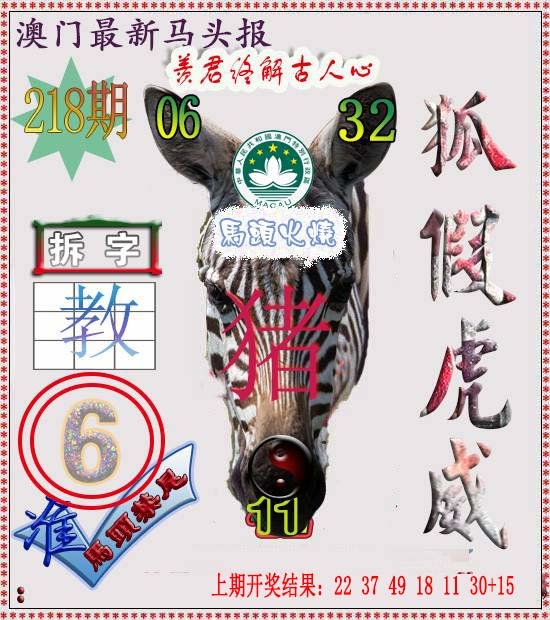 2024218期马头报