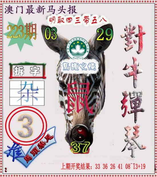 2024223期马头报