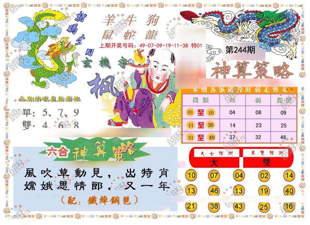2024244期神算策略