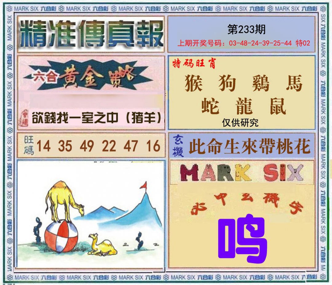 2024233期精准<傳真報>