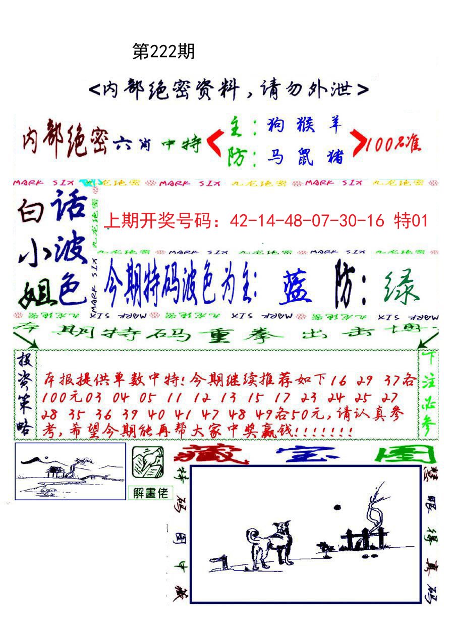 2024222期九龙密报