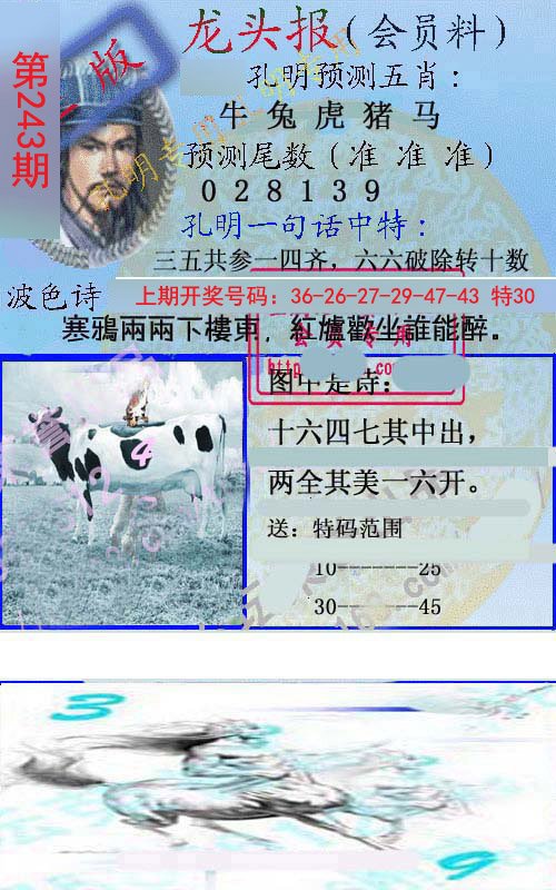 2024243期龙头报