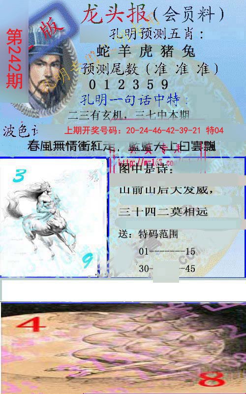 2024242期龙头报