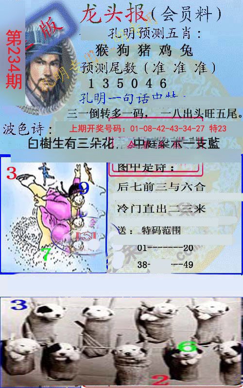2024234期龙头报