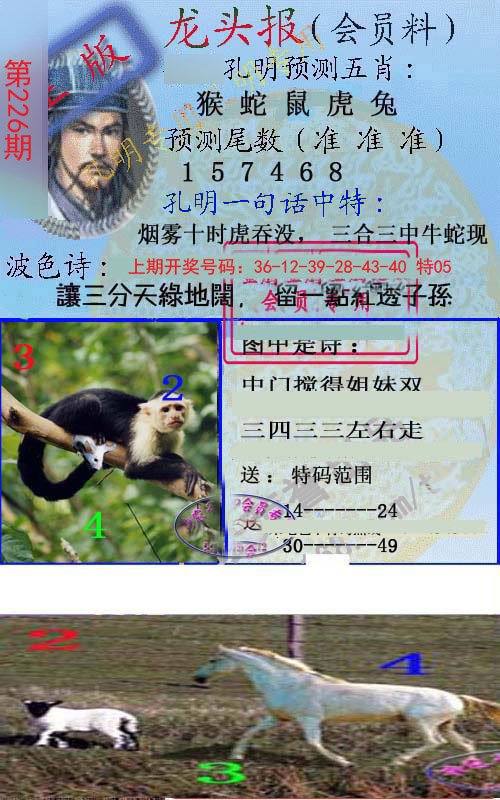 2024226期龙头报