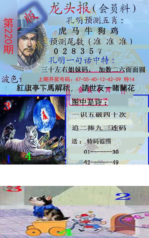 2024220期龙头报