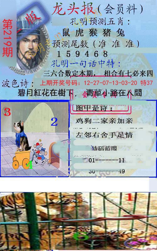 2024219期龙头报
