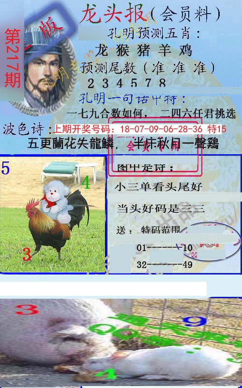 2024217期龙头报