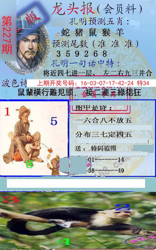 2024227期龙头报