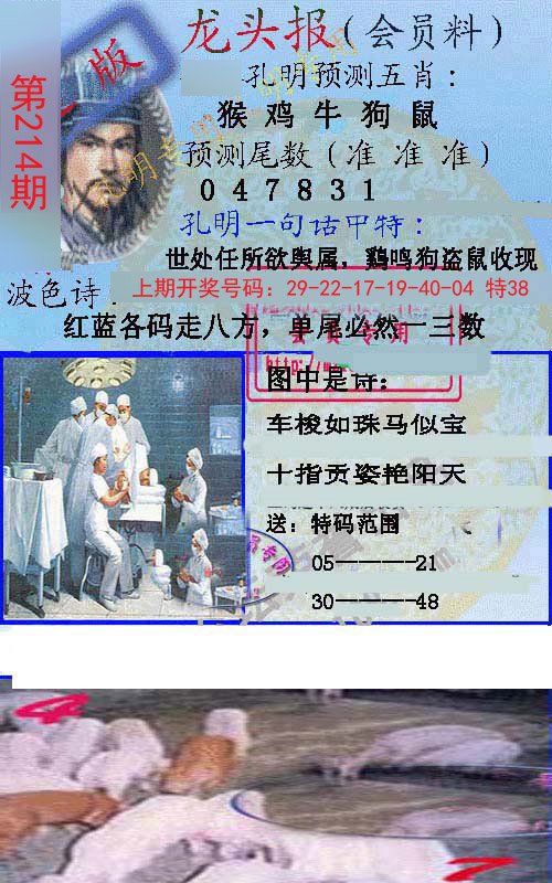 2024214期龙头报