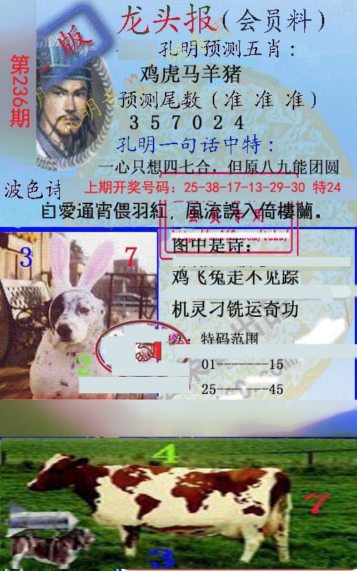2024236期龙头报