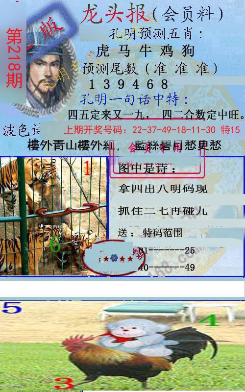 2024218期龙头报