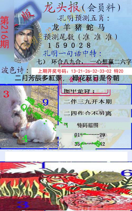 2024216期龙头报