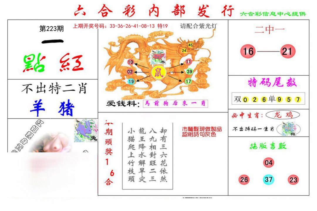 2024223期一点红