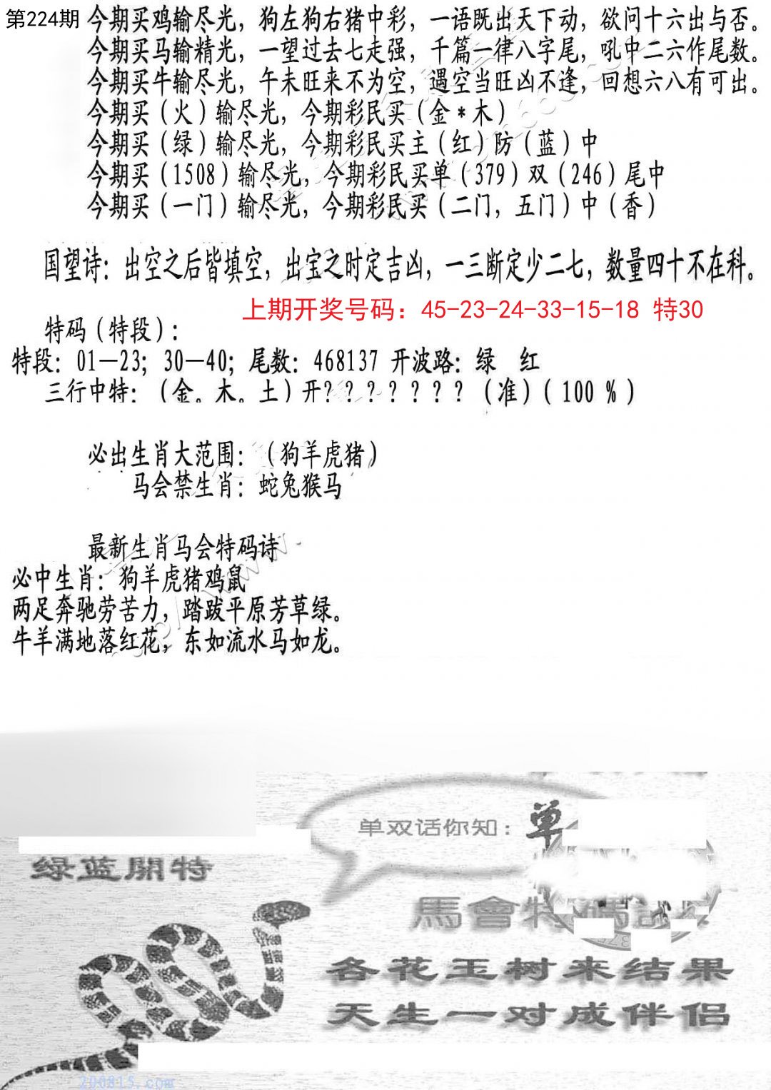 2024224期蛇报B