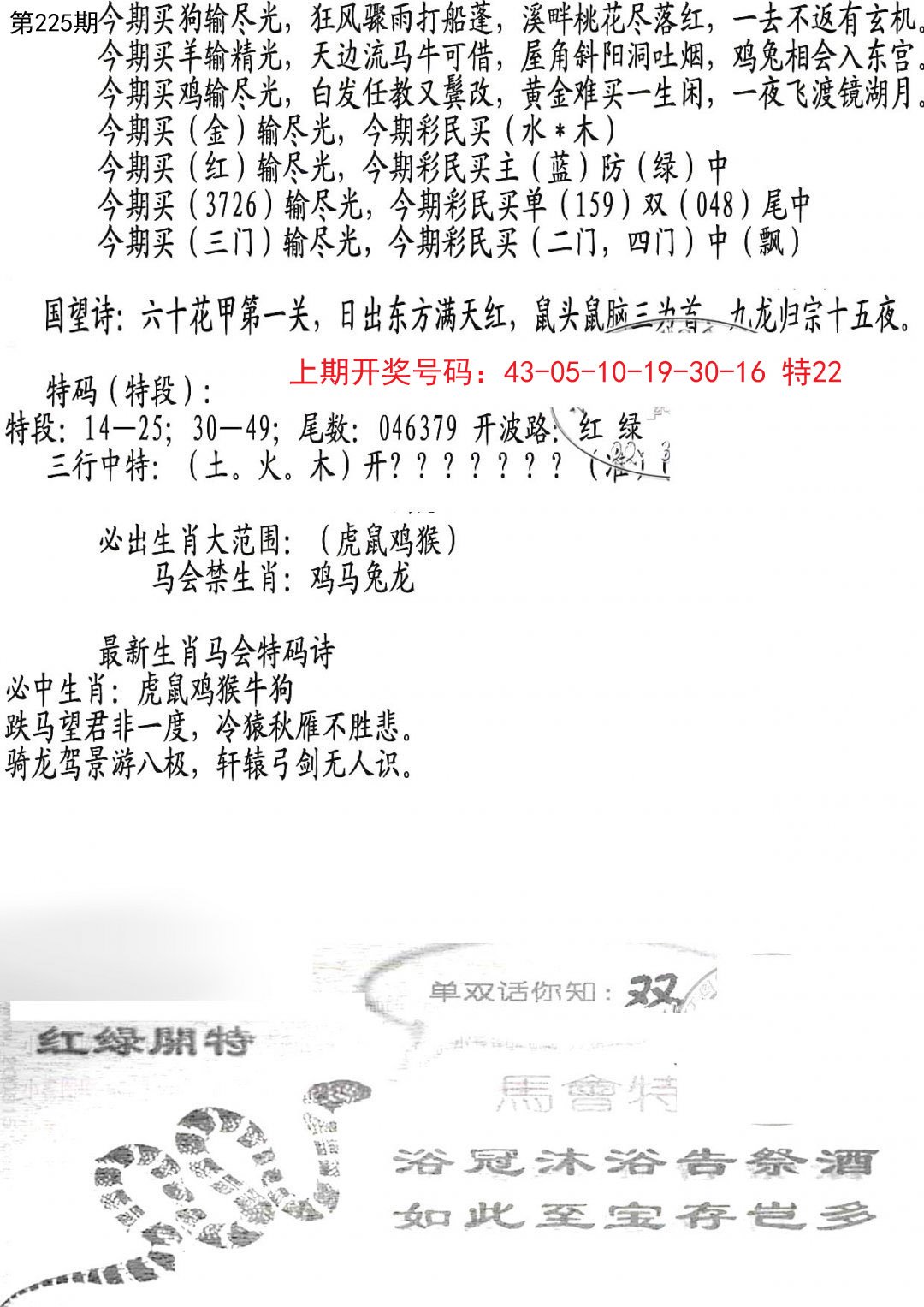 2024225期蛇报B