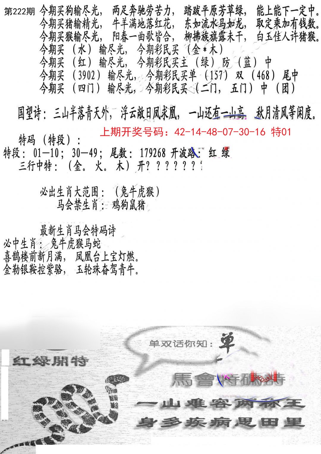 2024222期蛇报B