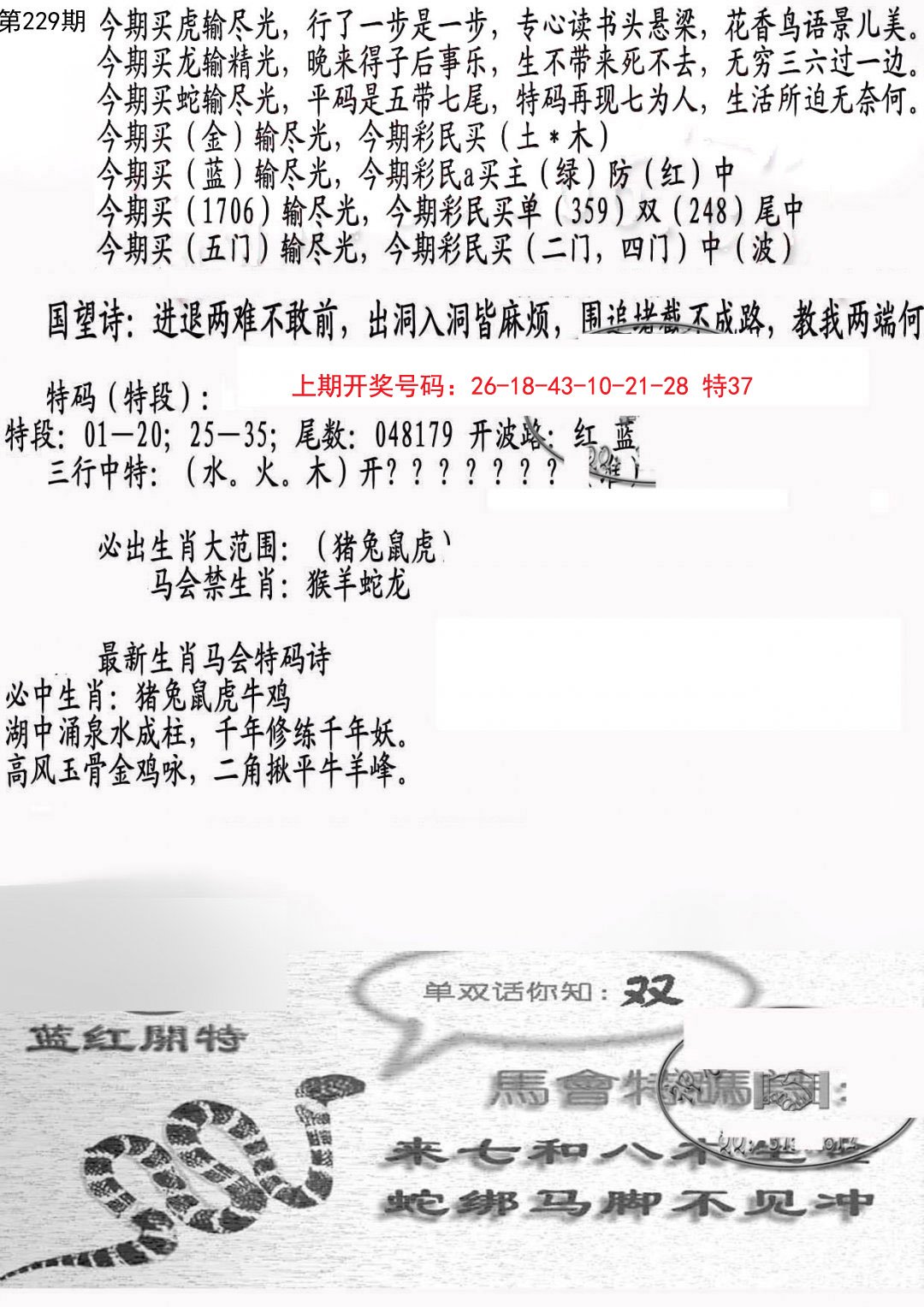 2024229期蛇报B