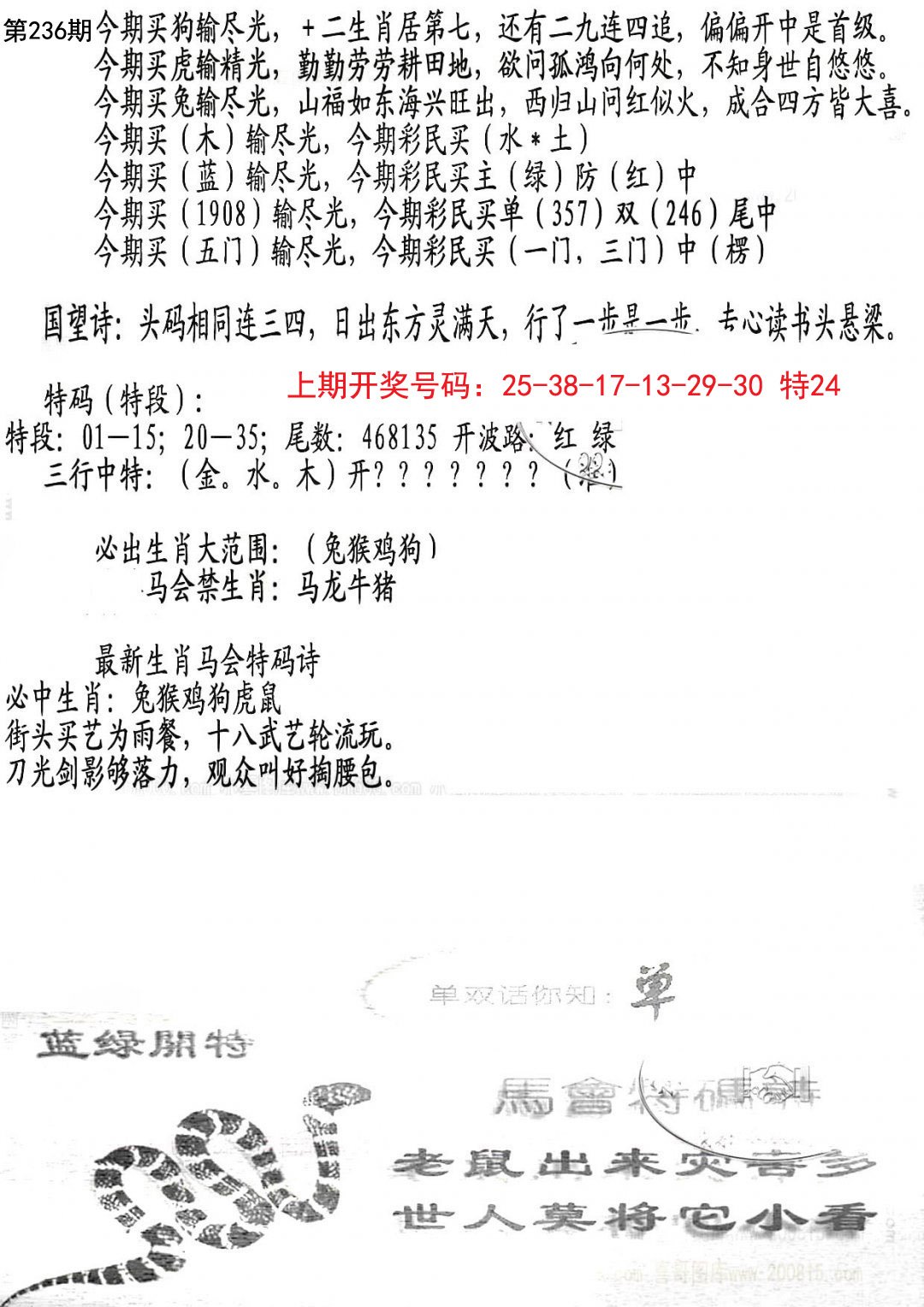2024236期蛇报B