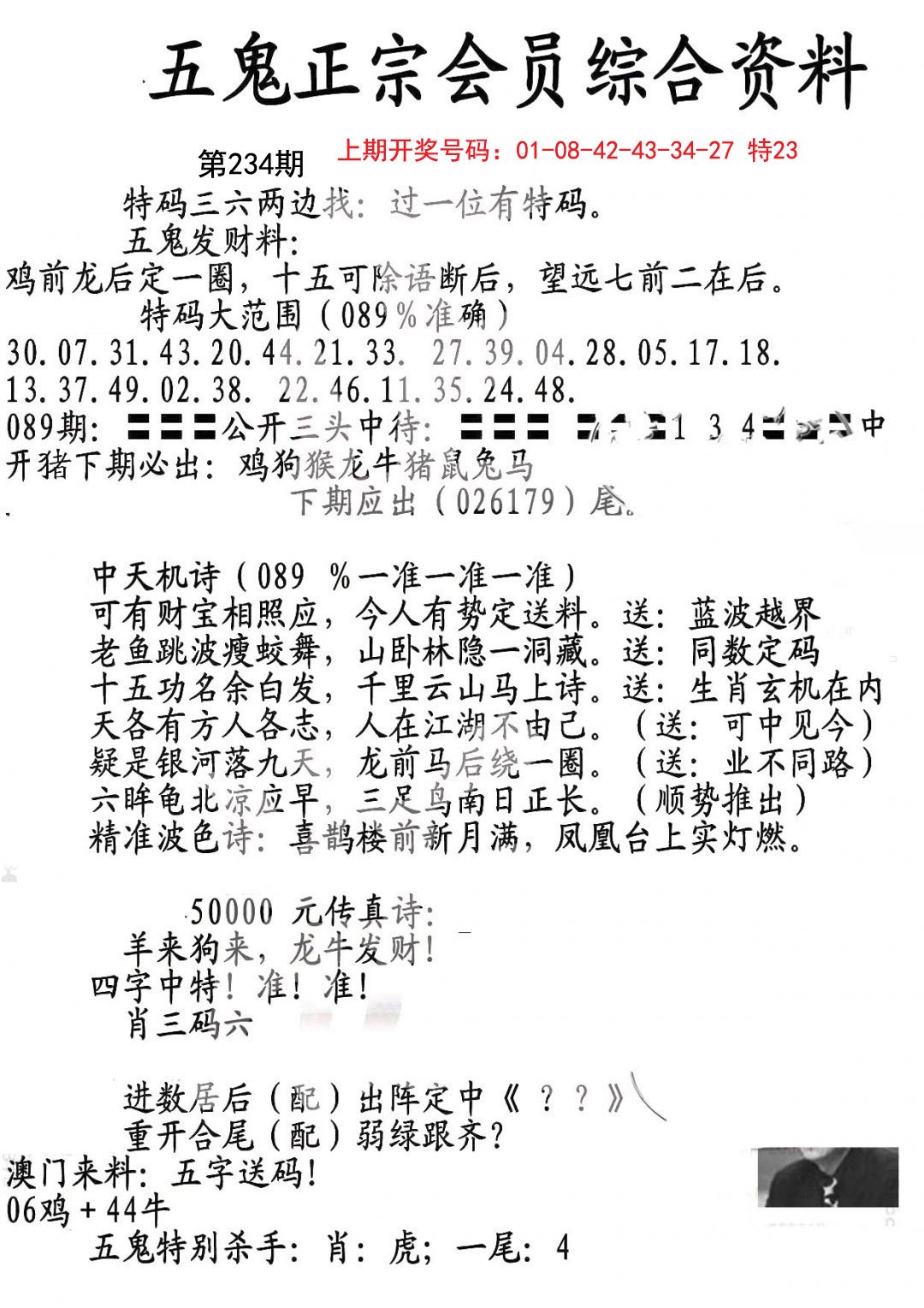 2024234期蛇报A