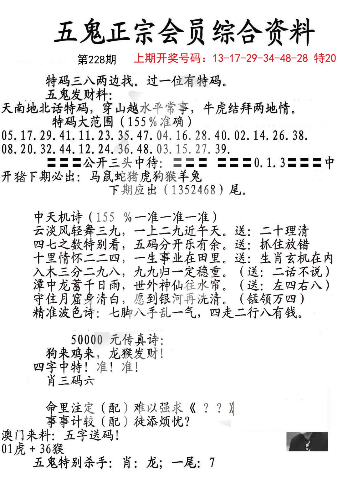 2024228期蛇报A