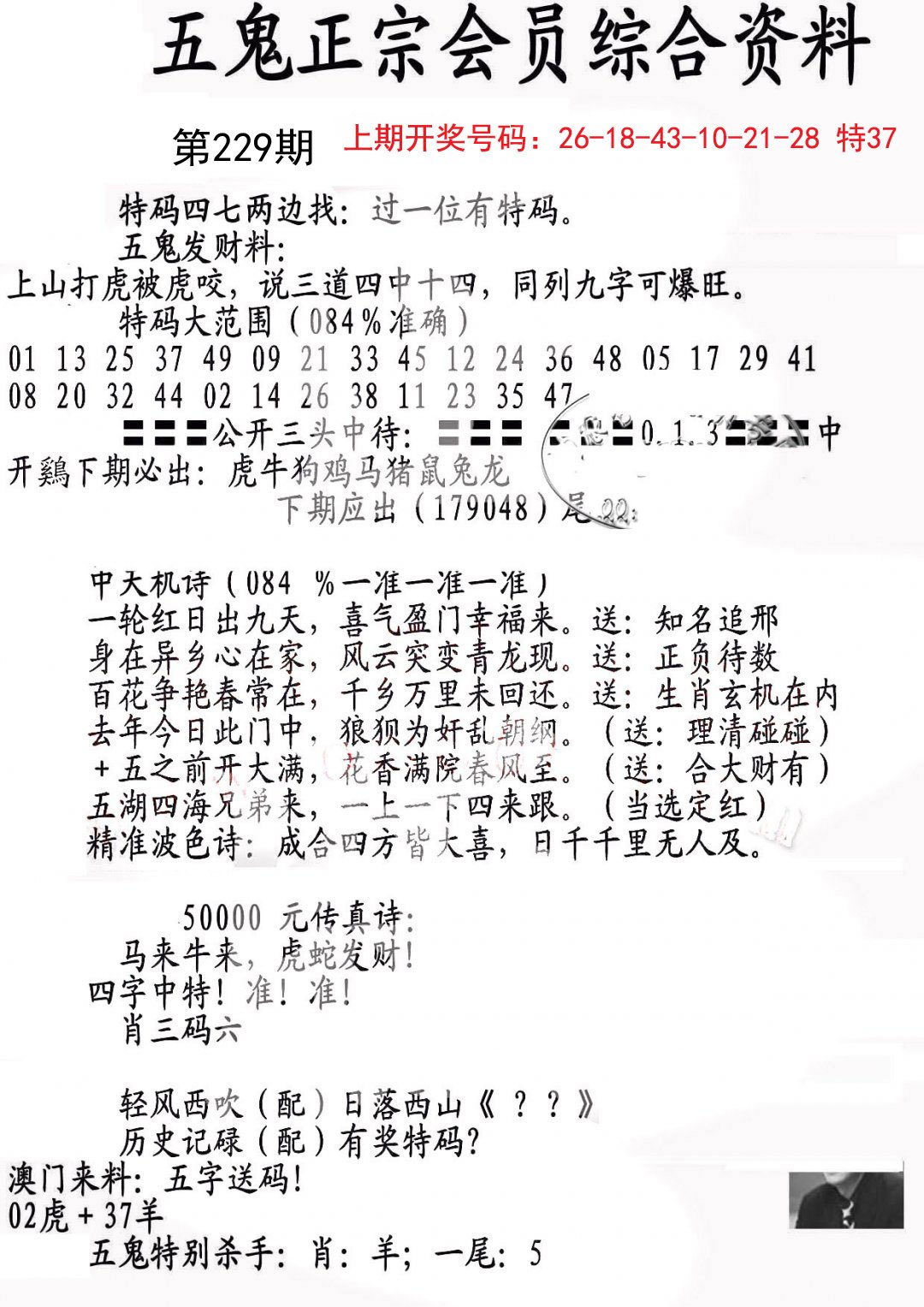 2024229期蛇报A