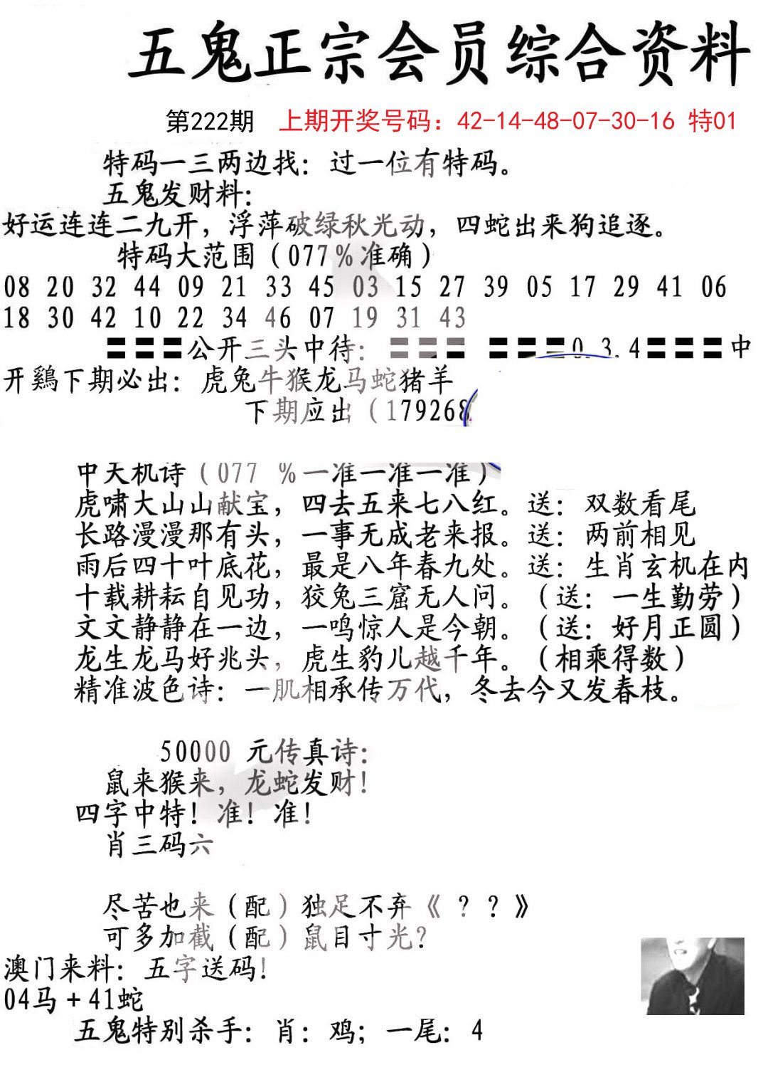 2024222期蛇报A