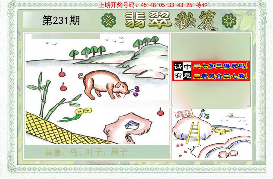 2024231期翡翠秘笈(信封)(另版)