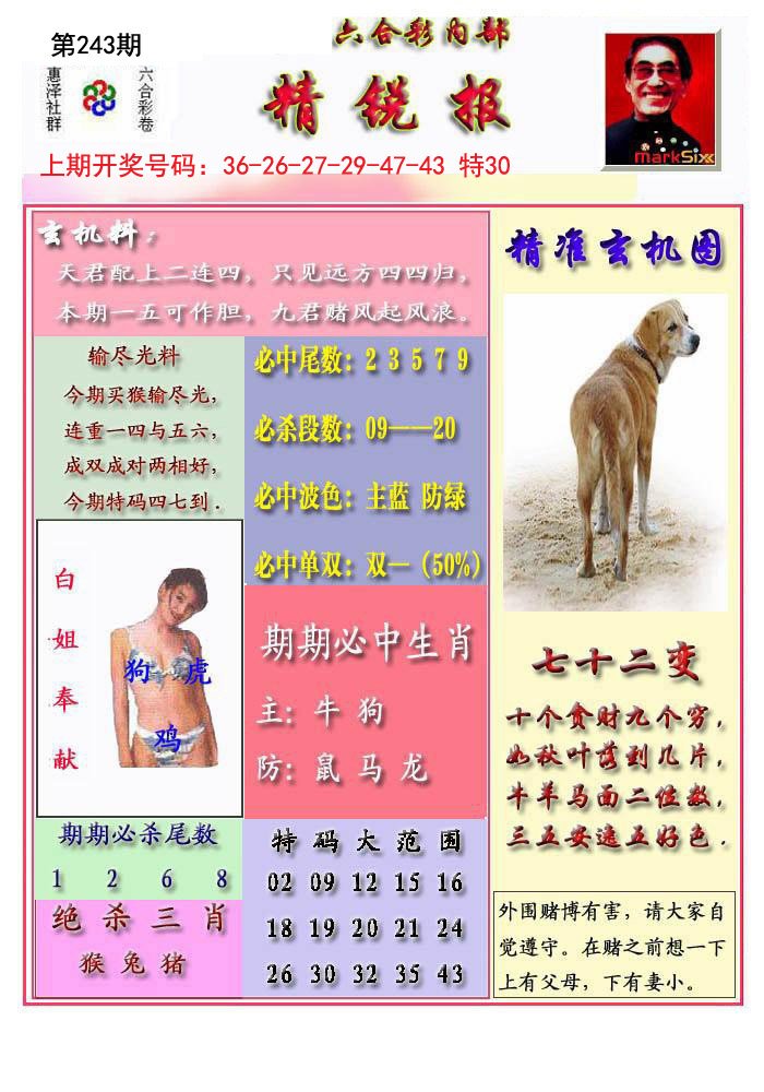2024243期精锐报