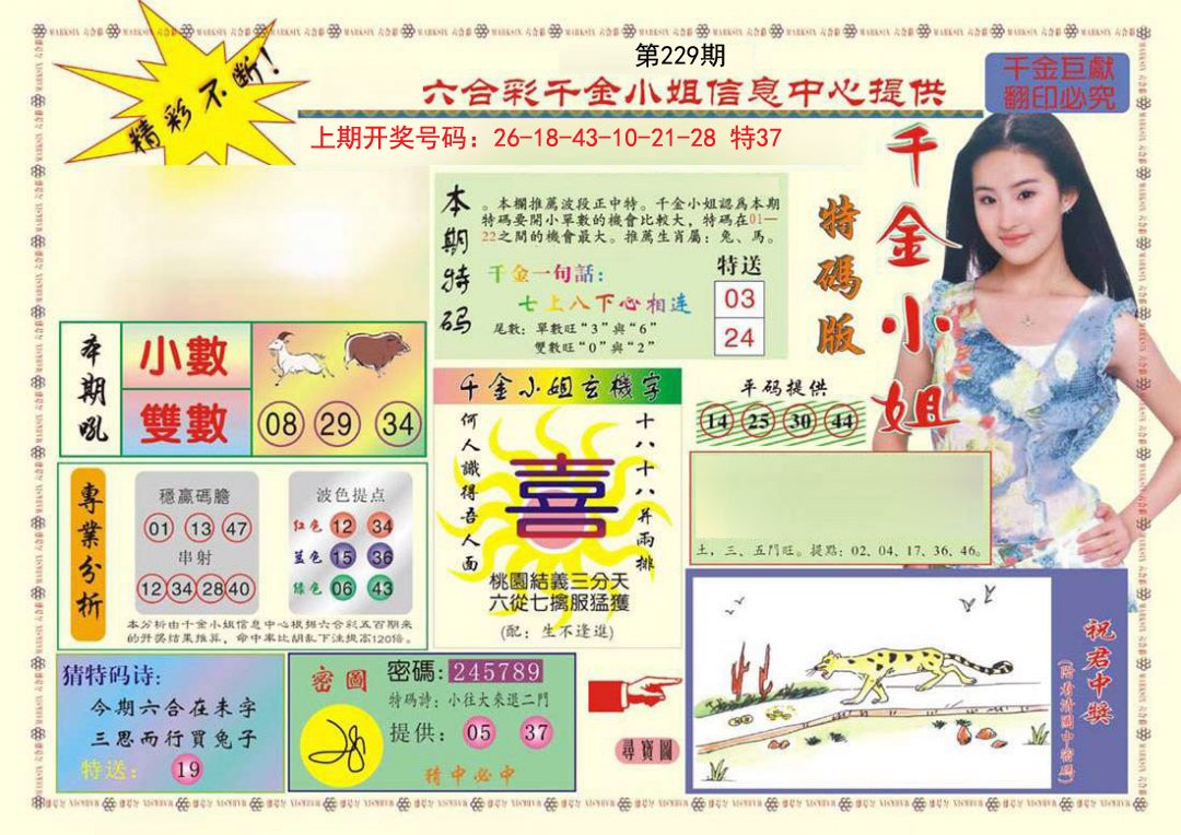 2024229期(新版)千金小姐A