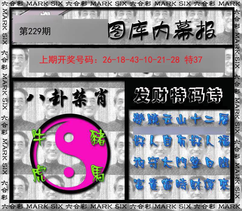 2024229期内幕报