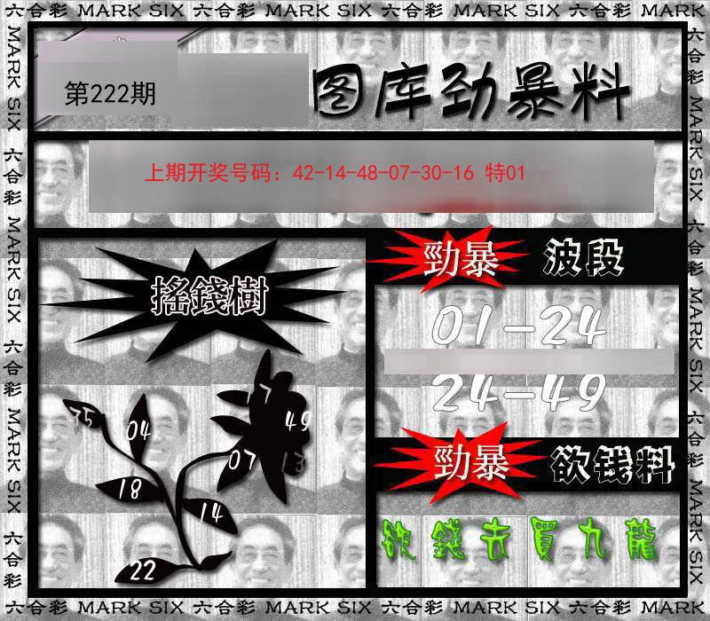 2024222期劲暴来料