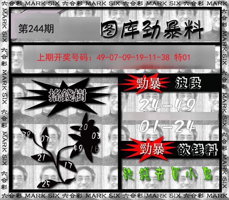 2024244期劲暴来料