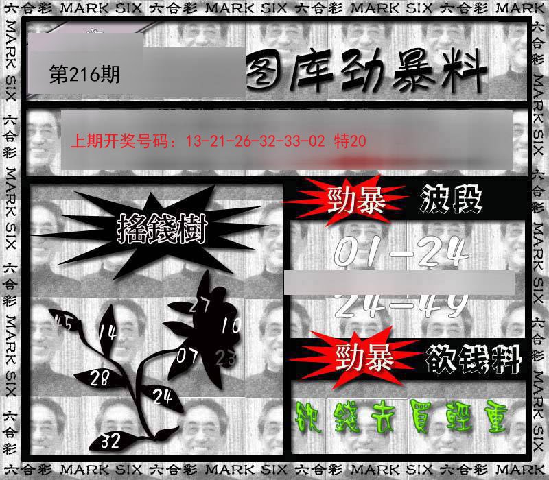 2024216期劲暴来料