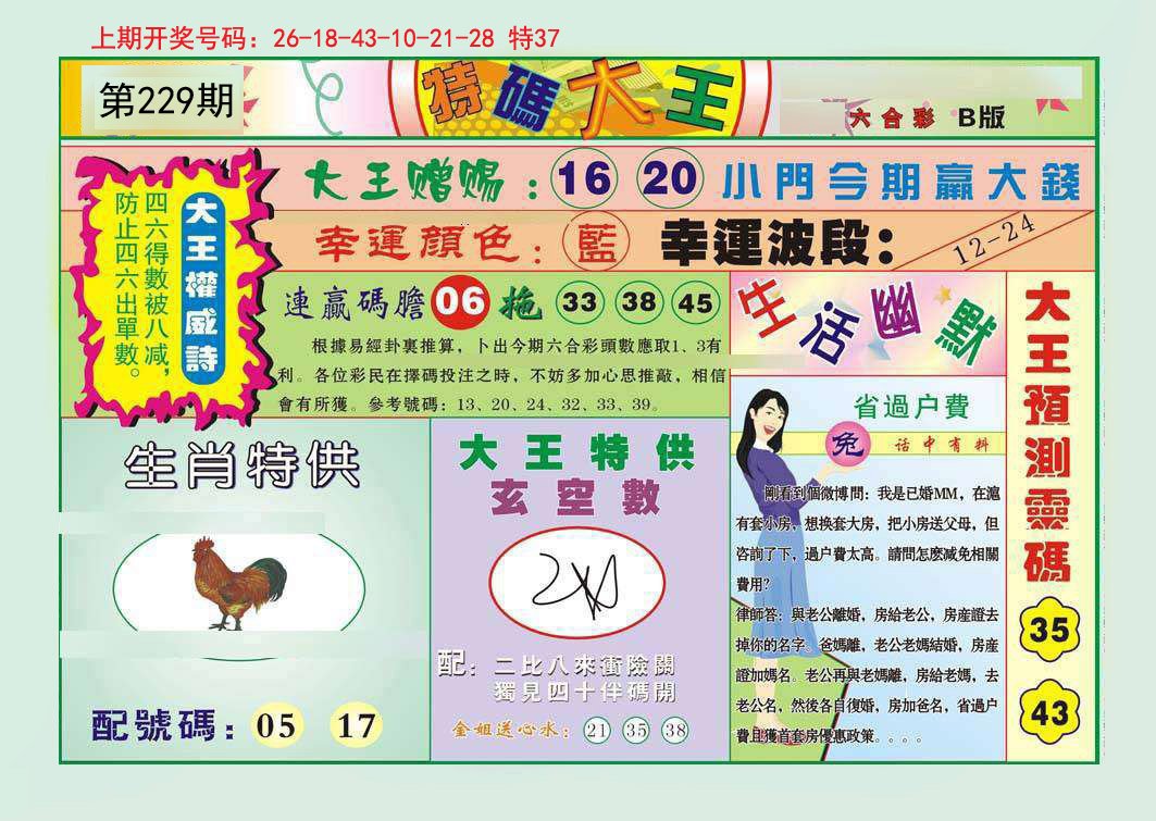 2024229期特码大王B