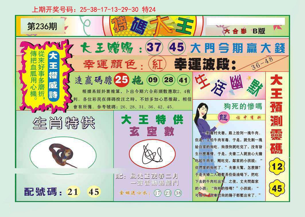 2024236期特码大王B