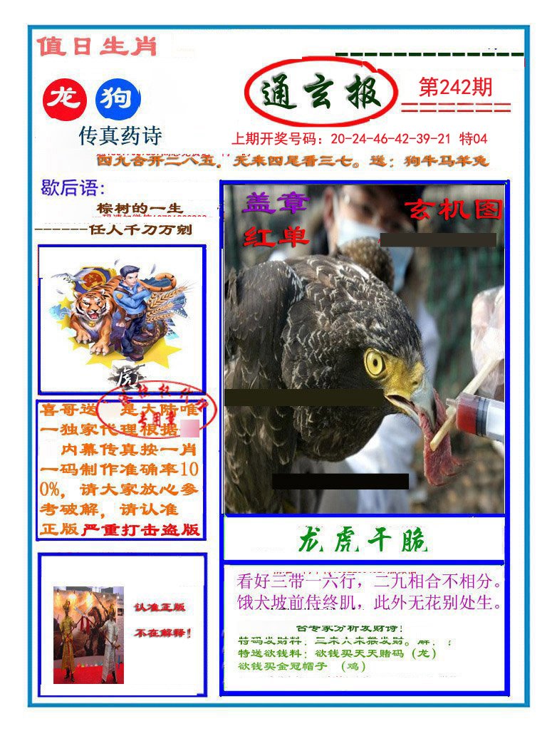 2024242期通玄报