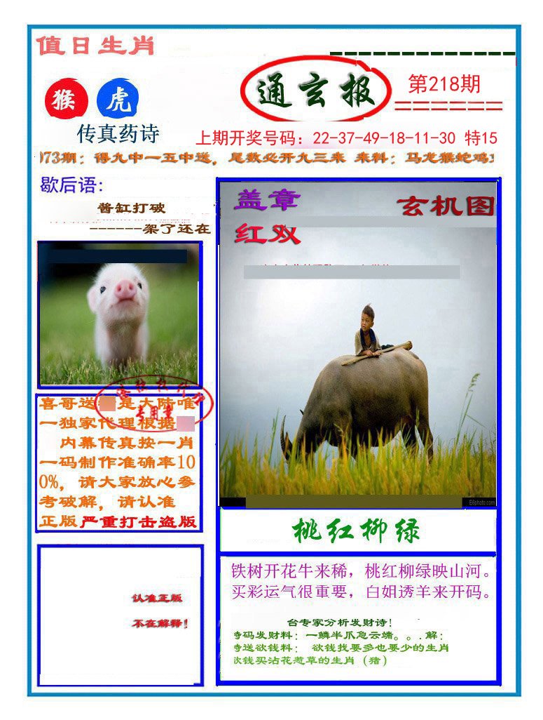 2024218期通玄报