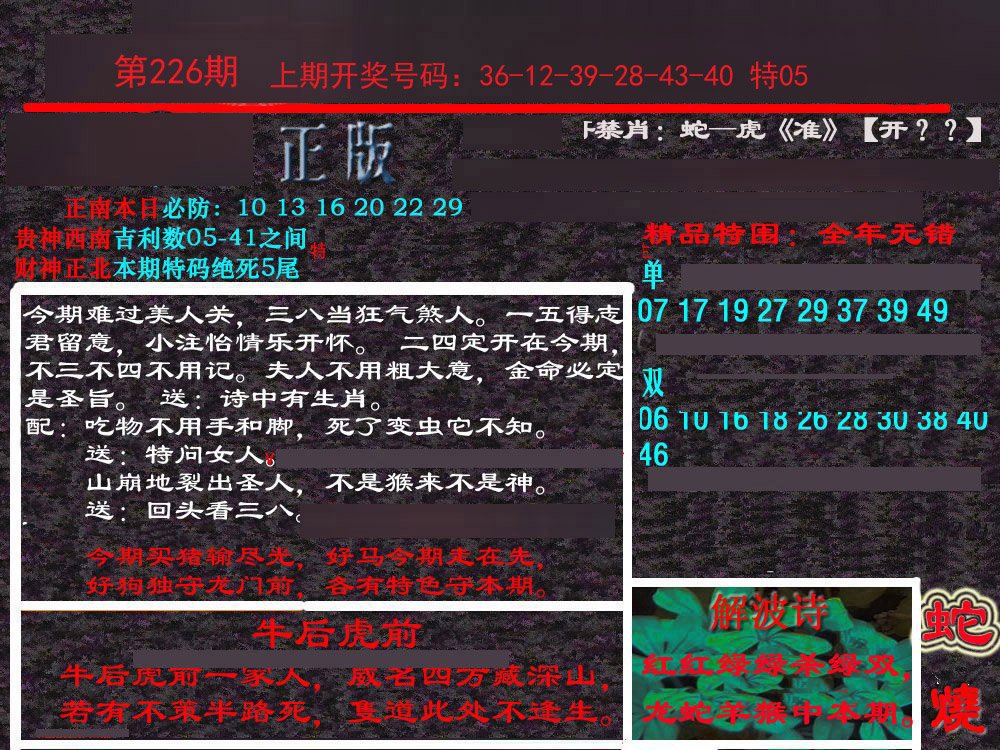2024226期新港内幕