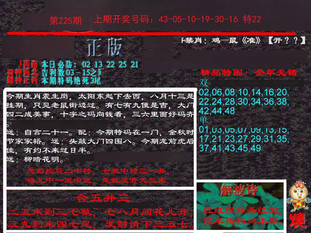 2024225期新港内幕