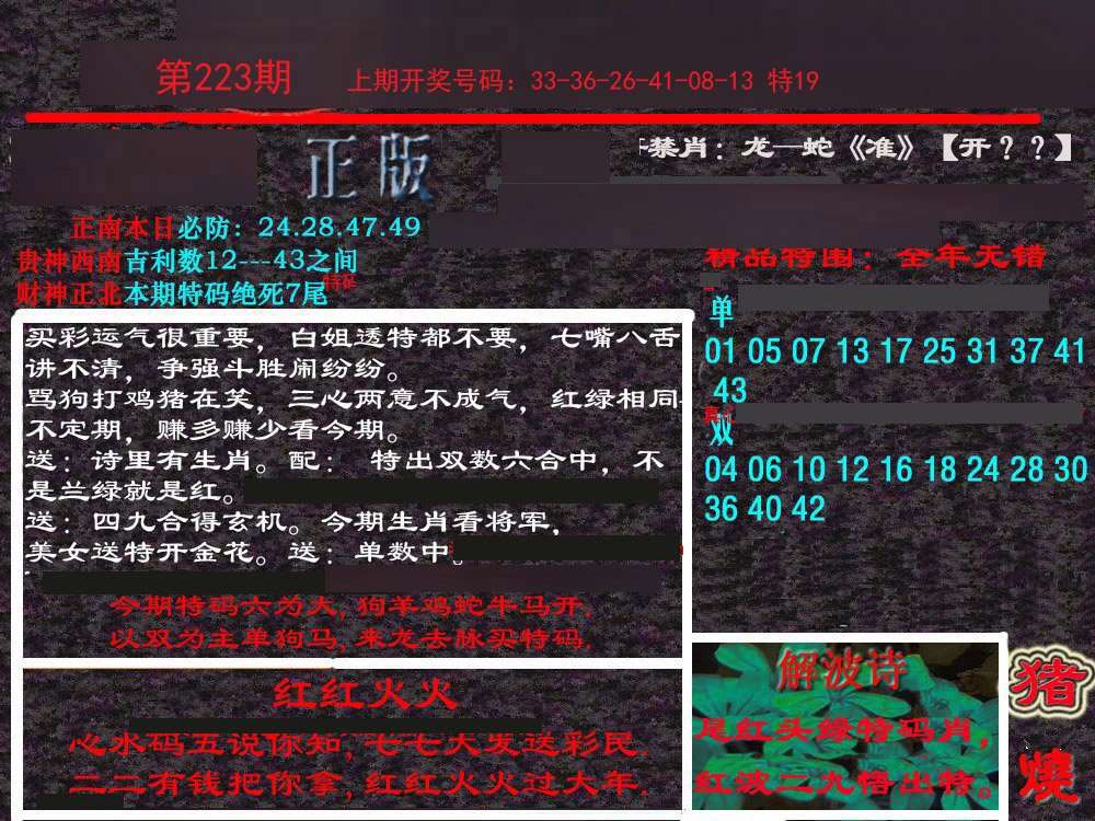 2024223期新港内幕