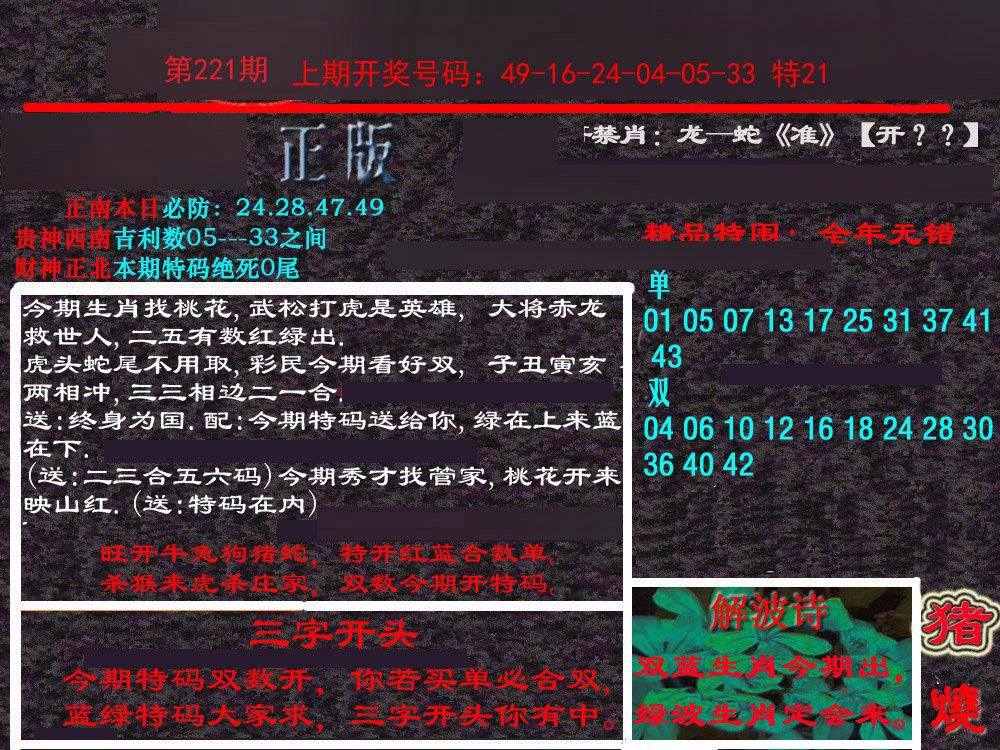 2024221期新港内幕