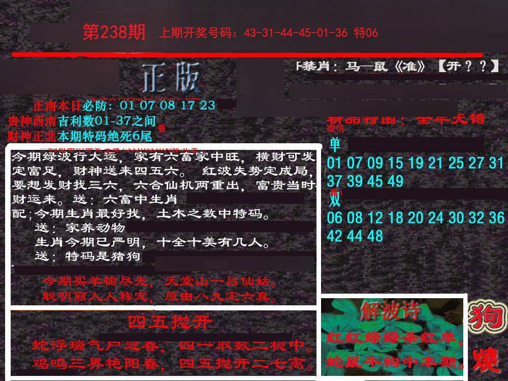 2024238期新港内幕