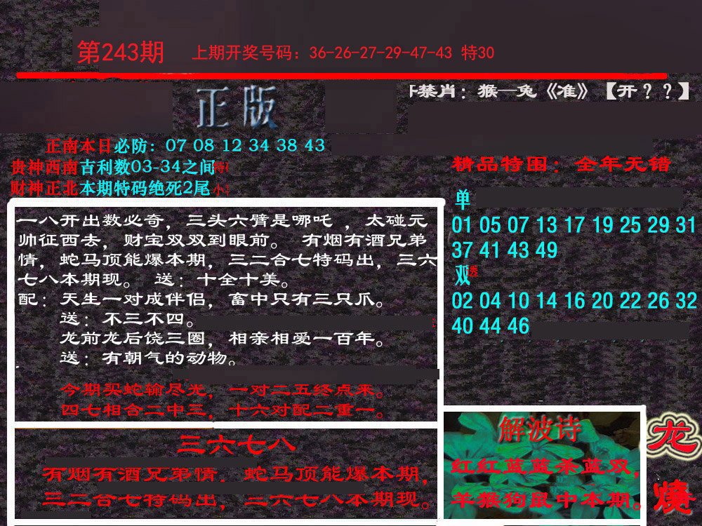 2024243期新港内幕