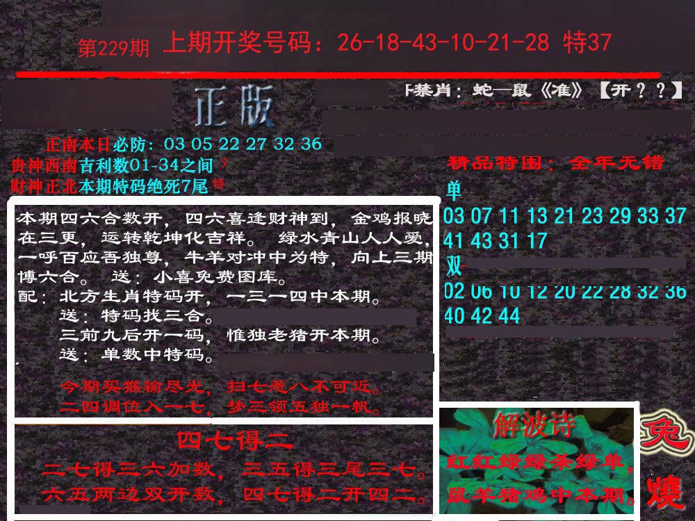 2024229期新港内幕