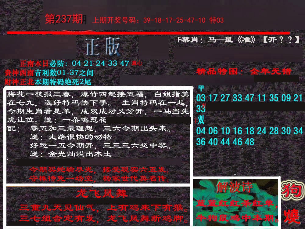 2024237期新港内幕