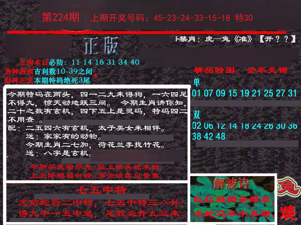 2024224期新港内幕