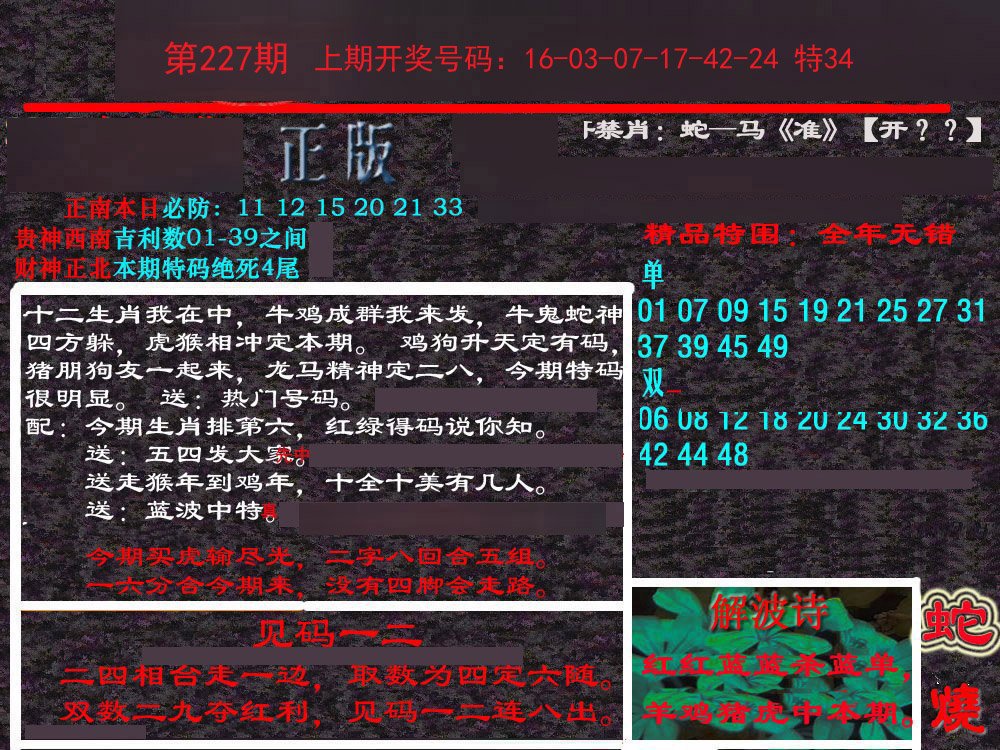 2024227期新港内幕